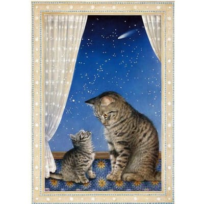 5D DIY volledige cirkel diamant schilderij cartoon dier kat diamant borduurwerk kruissteek 20X30CM donkerblauwe kleur