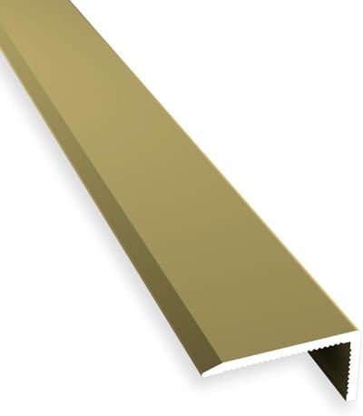 Traprandprofiel Aluminium - Trapneus profiel - Trap afwerken - Glad oppervlak - 1000 mm - Goud