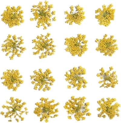 Gedroogde bloemen - Persbloemen natuur - Knutselen decoreren - Echte natuurlijke bloemen - 36 stuks - Geel