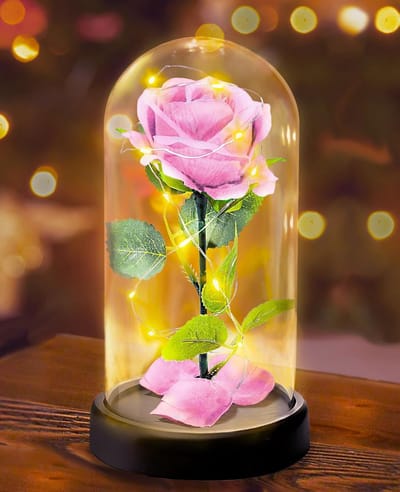 Cadeau voor vrouwen voor Moederdag - Eeuwige roos in glazen koepel met verlichting