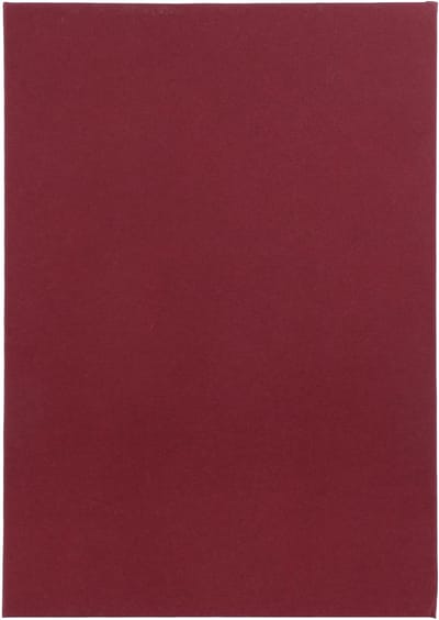Decoratieve Boekendozen - Opbergdozen Nep Boeken - Geheime Opslag - Magnetische Sluiting - 25x18x4.2 cm - Bourgogne
