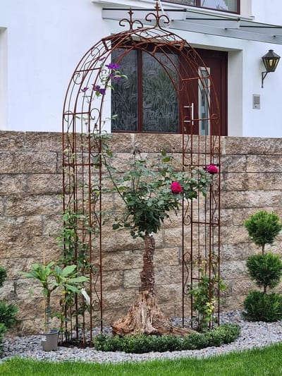 Rozenboog Tuin - Klimplant Steun - Planten Ondersteunen - Handgemaakt Solide - 245-280 cm - Zinkkleurig