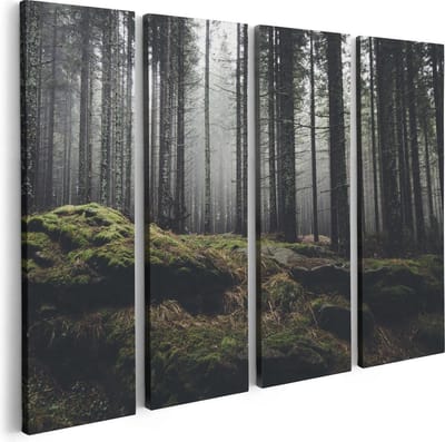 Artaza Canvas Schilderij Vierluik Bos Met Mos Op Rotsen - 80x60 - Foto Op Canvas - Canvas Print
