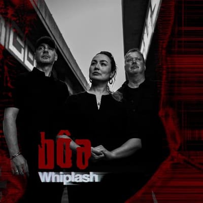 Whiplash - Boa