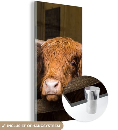MuchoWow® Glasschilderij 20x40 cm - Schilderij acrylglas - Schotse Hooglander - Boerderij - Schuur - Foto op glas - Schilderijen