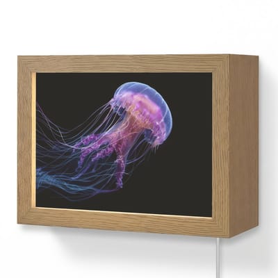 Wandlamp 20x15 cm - Oplaadbaar - Kwal - Doorzichtig - Roze - Tentakels - Wandlampen binnen woonkamer - Slaapkamer lamp met kabel - Decoratieve nachtlamp - Vloerlamp snoer