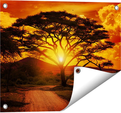 Gards Tuinposter Zonsondergang Achter een Savanne Boom - 50x40 cm - Tuindoek - Tuindecoratie - Wanddecoratie buiten - Tuinschilderij