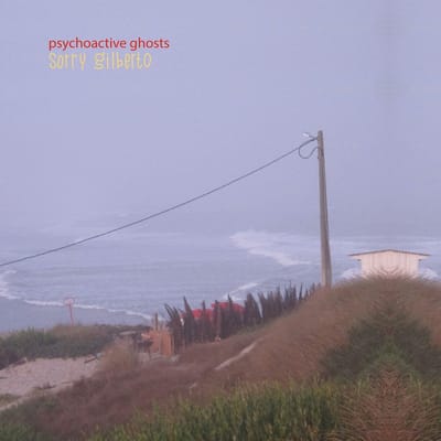 Sorry Gilberto - Psychoactive Ghosts (LP)