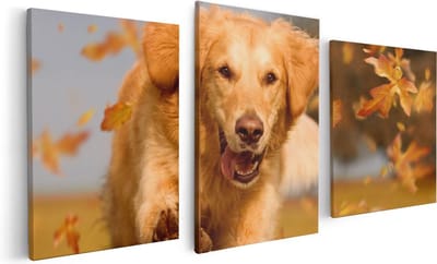 Artaza Canvas Schilderij Drieluik Golden Retriever Hond In De Herfst Bladeren - 120x60 - Foto Op Canvas - Canvas Print