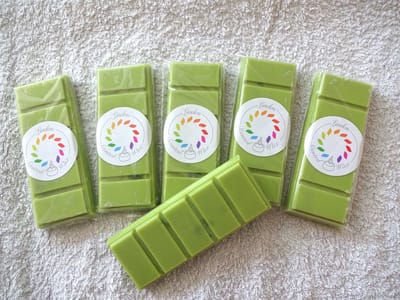 Linden - Snapbar wax melts waxmelt parfum ALIEN - handgemaakt - 100% sojawax - aromatic - voor geurbrander - huisparfum -