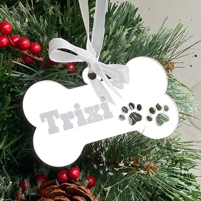 Kersthanger | Kerstornament | Kerstbal | Kerstgeschenk | Gepersonaliseerd | Hond | Bot | Hxb 7x12 cm | Acryl | Plexiglas | Blokletters