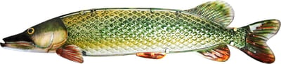 Eurocatch Snoek - Muurdecoratie 90cm - 3-D Metaal en Glas Kunst - Cadeau Idee - Mancave - Vaderdag Cadeau