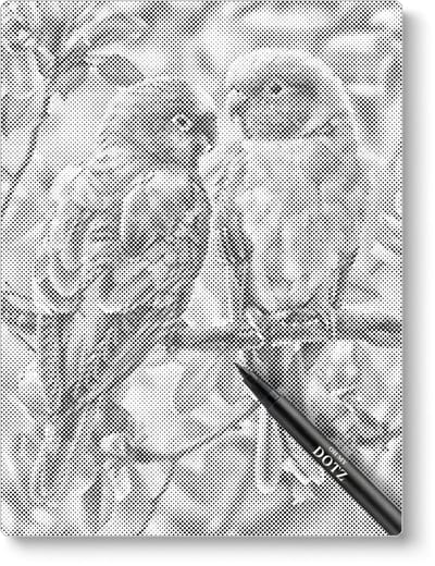 Verliefde Parkieten | Dot painting | 40x50cm | Dot painting | Oh My Dotz | Dots stippen | Diamond painting & Schilderen op nummer alternatief | Happy hobby