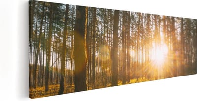Artaza Canvas Schilderij Zonsondergang - 60x20 cm - Wanddecoratie Bos - Muurdecoratie Landschap - Kamer Accessoires Natuur