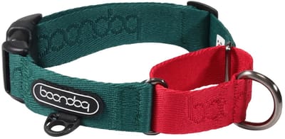 Boondog – Martingale Halsband Hond – Green – Maat S – Anti-Trek – Zacht Webbing