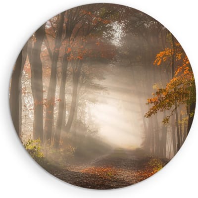 Saammp Muurcirkel Hout - Bospad met zonneschijn - Nederland - Landschap - Natuur - Ø 90 - Wandcirkel - Wanddecoratie Cirkel - Muurdecoratie Woonkamer - Slaapkamer decoratie - Rond Schilderij