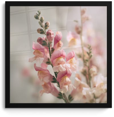 Poster in lijst - Fotolijst 40x40 cm - Posters - Bloem - Leeuwenbek - Roze - Stengel - Posterlijst zwart - Decoratie - Wanddecoratie woonkamer - Muurdecoratie slaapkamer
