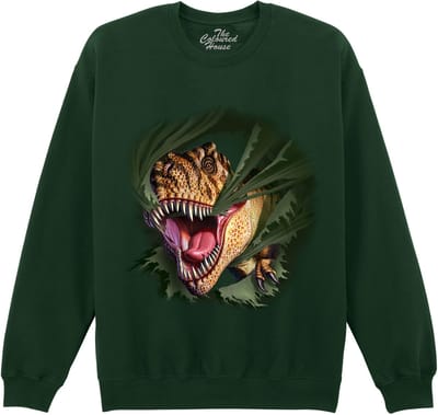 Dino T-Rex Tearing Green The Coloured House Sweater S