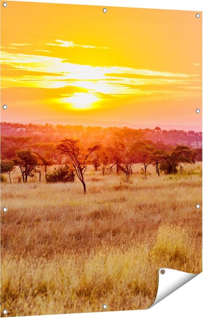 Gards Tuinposter Zonsondergang in de Savanne - 90x120 cm - Tuindoek - Tuindecoratie - Wanddecoratie buiten - Tuinschilderij
