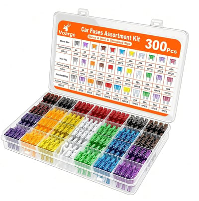 Dailygoody - Auto Fuse Set - 300-delige Set - Mini Standaard en Micro - Vervangfuses met Opbergdoos - Handig en overzichtelijk - Perfect voor auto ond...