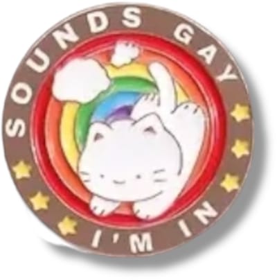 Kinky Pleasure “Sounds Gay I’m In” Enamel Pin – LGBTQ+ Kat Regenboog Speld – 2,5 cm