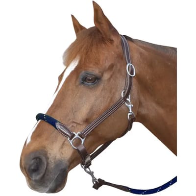 Lederen paardenhalster met touw Canter