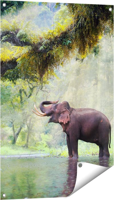 Gards Tuinposter Vrolijke Olifant in het Water - 60x90 cm - Tuindoek - Tuindecoratie - Wanddecoratie buiten - Tuinschilderij