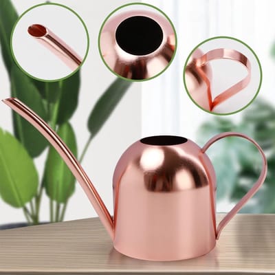 450 ml Gieter Kleine Kamerplanten, Mini Gieter van Metaal met Lange Tuit voor Kleine Kamerplanten in Binnenruimtes, Geschikt voor Thuis, Kantoor en Vetplanten.