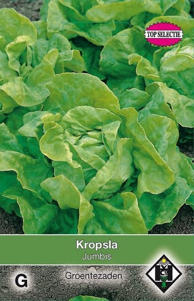 Van Hemert - Kropsla Mercurion (vh Jumbis)