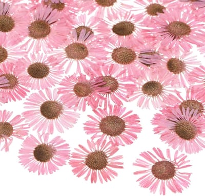 Gedroogde Bloemen - Echte Natuurlijke Bloemen - Hobby Knutselen - 12 Stuks Pakket - 2 x 1 cm - Roze