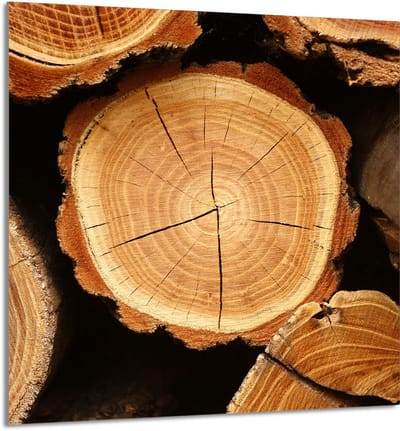 TMK ArtDeko - Snijplank - 60x65 cm - Gehard Glas - Houten Motief