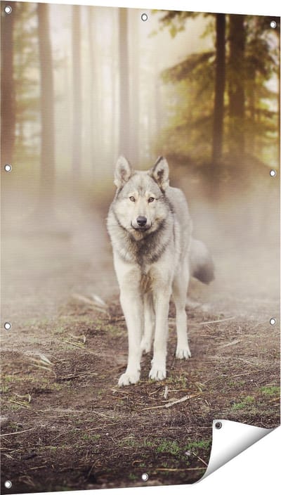Gards Tuinposter Grijze Wolf in het Bos - 80x120 cm - Tuindoek - Tuindecoratie - Wanddecoratie buiten - Tuinschilderij