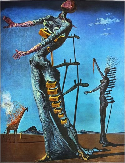 Kunstdruk Salvador Dali - La girafe en feu 60x80cm
