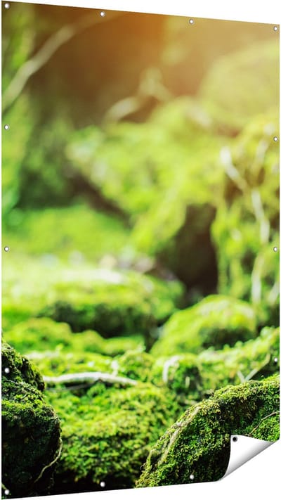 Gards Tuinposter Groen Mos Bedekt over Stenen - 120x180 cm - Tuindoek - Tuindecoratie - Wanddecoratie buiten - Tuinschilderij