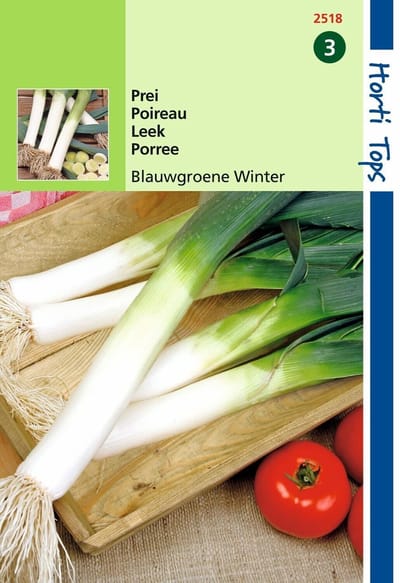 2 stuks Hortitops Prei Blauwgroene Winter, Sel. Hiverbleu