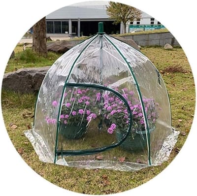 Mini Broeikas - Kweekkas Tuin - Planten Kweken - Versterkte PVC Hoes - 105x78cm - Doorzichtig
