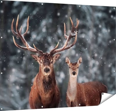 Gards Tuinposter Twee Herten met Sneeuw - 150x120 cm - Tuindoek - Tuindecoratie - Wanddecoratie buiten - Tuinschilderij