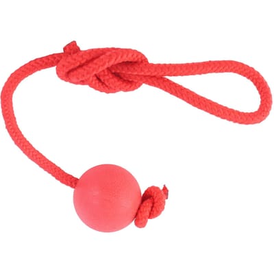 Hond Speelbal Touw Speelgoed Interactief Bijtbestendig Veilig Hond Rubberen Bal met Touw voor Buiten Training 5cm / 2in red