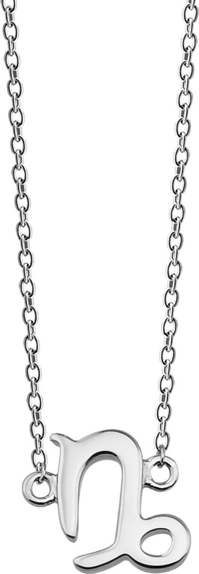 Steenbok Ketting Zilver Zodiac ZN001S