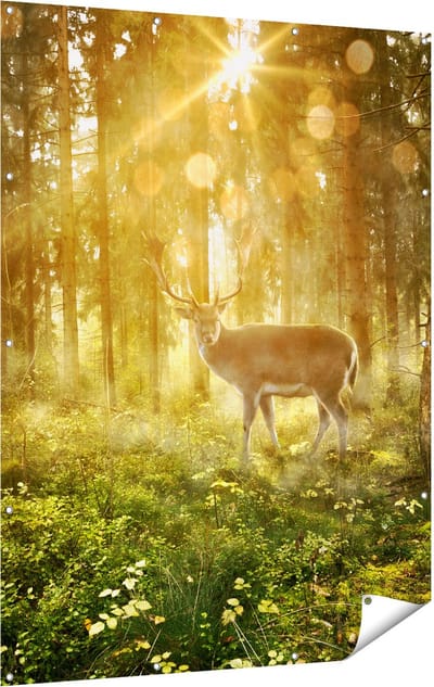 Gards Tuinposter Hert in Bos met Zon - 120x160 cm - Tuindoek - Tuindecoratie - Wanddecoratie buiten - Tuinschilderij