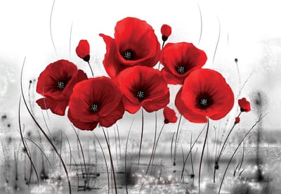 Fotobehang Flowers Poppies Nature | XL - 208cm x 146cm | 130g/m2 Vlies