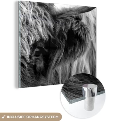 MuchoWow® Glasschilderij 90x90 cm - Schilderij acrylglas - Schotse Hooglander - Oog - Zwart - Wit - Foto op glas - Schilderijen