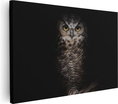 Artaza Canvas Schilderij Dierenkop Uil - 30x20 cm - Klein - Wanddecoratie Dieren - Muurdecoratie Vogel - Kamer Accessoires
