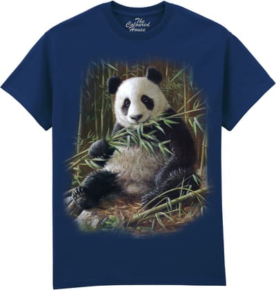 Bamboo Panda The Coloured House T-shirt XXL