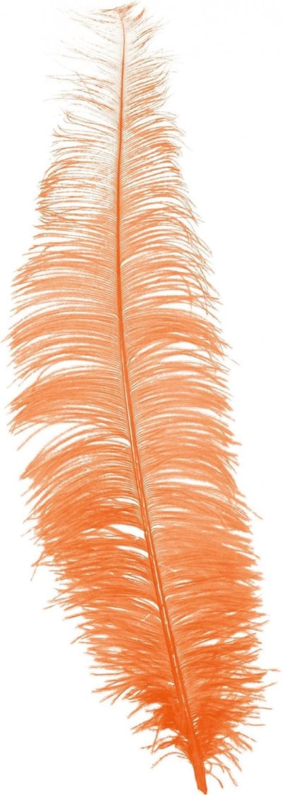 Grote struisvogelveer/pietenveer - oranje - 40 cm - Charleston/jaren 20/twenties thema verkleed accessoire