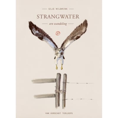 Strangwater - Terloops - Gijs Wilbrink