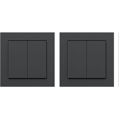 Senic Friends of Hue Slimme Lichtschakelaar 2-pack