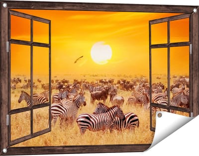 Gards Tuinposter Doorkijk Kudde Zebra's bij een Oranje Zonsondergang - 90x60 cm - Tuindoek - Tuindecoratie - Wanddecoratie buiten - Tuinschilderij