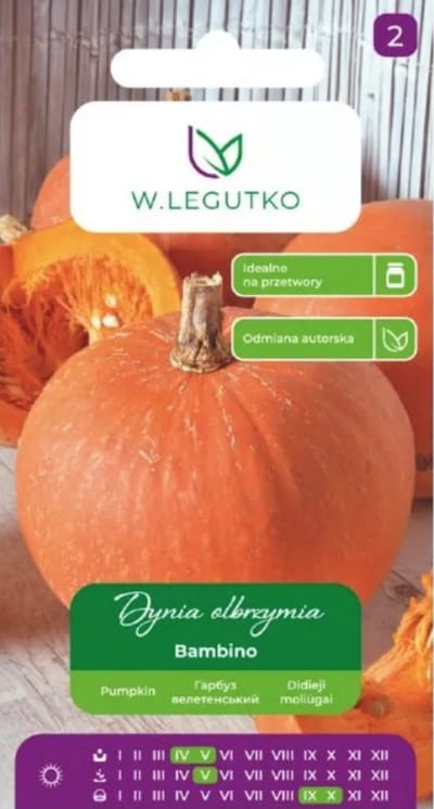 W.Legutko - Reuzenpompoen Bambino – oranje, vruchtgewicht ca. 15 kg