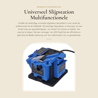 Dailygoods - Universeel Slijpstation - Multifunctionele Elektrische Slijper - 65W Huishoudelijk - Messen en Scharen Slijpen - Geschikt voor Beitels en...
